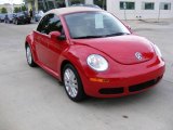 2008 Salsa Red Volkswagen New Beetle SE Convertible #847800