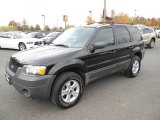 2006 Black Ford Escape XLT V6 4WD #87057569