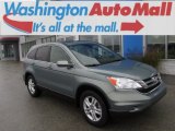 2011 Opal Sage Metallic Honda CR-V EX-L 4WD #87057051
