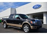 2013 Ford F150 Lariat SuperCrew 4x4 Front 3/4 View