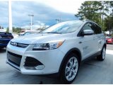 2014 Ingot Silver Ford Escape Titanium 2.0L EcoBoost #87056992