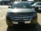 2013 Mineral Gray Metallic Ford Edge Limited AWD #87056934