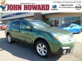 2013 Cypress Green Pearl Subaru Outback 2.5i Premium #87057899