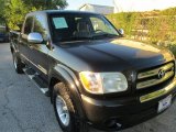 2005 Black Toyota Tundra SR5 Double Cab #87182478