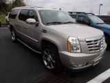 2007 Quicksilver Cadillac Escalade ESV AWD #87274755