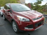 2014 Sunset Ford Escape Titanium 2.0L EcoBoost 4WD #87274530