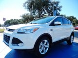 2014 White Platinum Ford Escape SE 1.6L EcoBoost #87380544