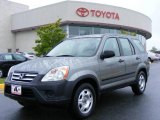 2005 Pewter Pearl Honda CR-V LX 4WD #8720325