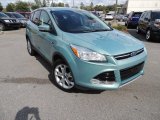 2013 Frosted Glass Metallic Ford Escape SEL 1.6L EcoBoost #87419071