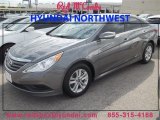2014 Harbor Gray Metallic Hyundai Sonata GLS #87418764
