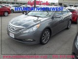 2014 Harbor Gray Metallic Hyundai Sonata Limited 2.0T #87418755