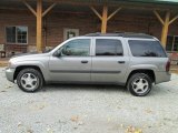 Graystone Metallic Chevrolet TrailBlazer in 2005