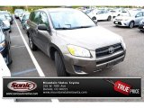 2010 Pyrite Metallic Toyota RAV4 I4 4WD #87568712