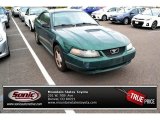 2002 Electric Green Metallic Ford Mustang V6 Coupe #87568700