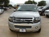 Ingot Silver Ford Expedition in 2013