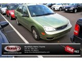 2007 Kiwi Green Metallic Ford Focus ZX4 SE Sedan #87617819