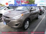2010 Chai Bronze Hyundai Tucson GLS #87665608