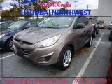 2012 Chai Bronze Hyundai Tucson GL #87665607