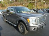 Sterling Grey Metallic Ford F150 in 2010
