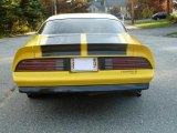 1976 Pontiac Firebird Formula 400 Exterior