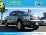 2011 Sterling Grey Metallic Ford F150 Platinum SuperCrew 4x4 #87714477