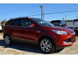 2014 Sunset Ford Escape Titanium 1.6L EcoBoost #87714159