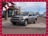 2007 Graystone Metallic Chevrolet TrailBlazer LS 4x4 #87714207