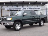 2001 Imperial Jade Mica Toyota Tundra SR5 Extended Cab 4x4 #87763295