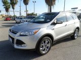2014 Ingot Silver Ford Escape SE 1.6L EcoBoost #87821994