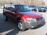 2005 Redfire Metallic Ford Escape XLT V6 4WD #87822478