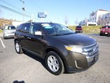 2011 Earth Metallic Ford Edge SEL AWD #87864843