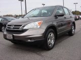 2010 Urban Titanium Metallic Honda CR-V LX #87864903