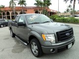 2010 Sterling Grey Metallic Ford F150 STX SuperCab #87910807