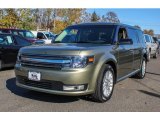 Ginger Ale Metallic Ford Flex in 2013