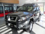 Night Armor Metallic Nissan Xterra in 2009