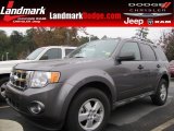 2010 Sterling Grey Metallic Ford Escape XLT #87957887