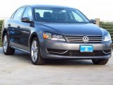 2014 Platinum Gray Metallic Volkswagen Passat 1.8T SE #87958121