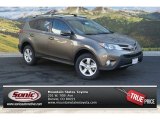 2013 Pyrite Mica Toyota RAV4 XLE AWD #87957593