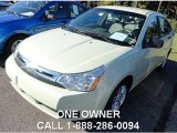 2011 Natural Neutral Metallic Ford Focus SE Sedan #88059598