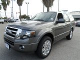 2014 Sterling Gray Ford Expedition Limited #88103716