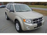 2011 Ford Escape XLT V6 Front 3/4 View