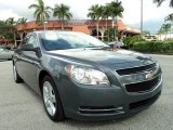 2009 Chevrolet Malibu LS Sedan