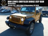 2014 Amp'd Jeep Wrangler Unlimited Rubicon 4x4 #88104148