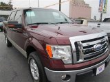 Royal Red Metallic Ford F150 in 2009