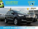 2013 Tuxedo Black Metallic Ford Escape SEL 2.0L EcoBoost #88192797