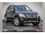 2010 Mercedes-Benz ML 350