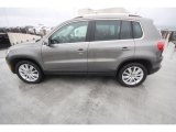 2009 Volkswagen Tiguan SE Exterior