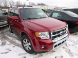 2009 Sangria Red Metallic Ford Escape Limited 4WD #88376151