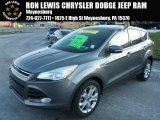 2013 Sterling Gray Metallic Ford Escape SEL 2.0L EcoBoost #88393041