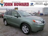 Jasmin Green Metallic Subaru Forester in 2014